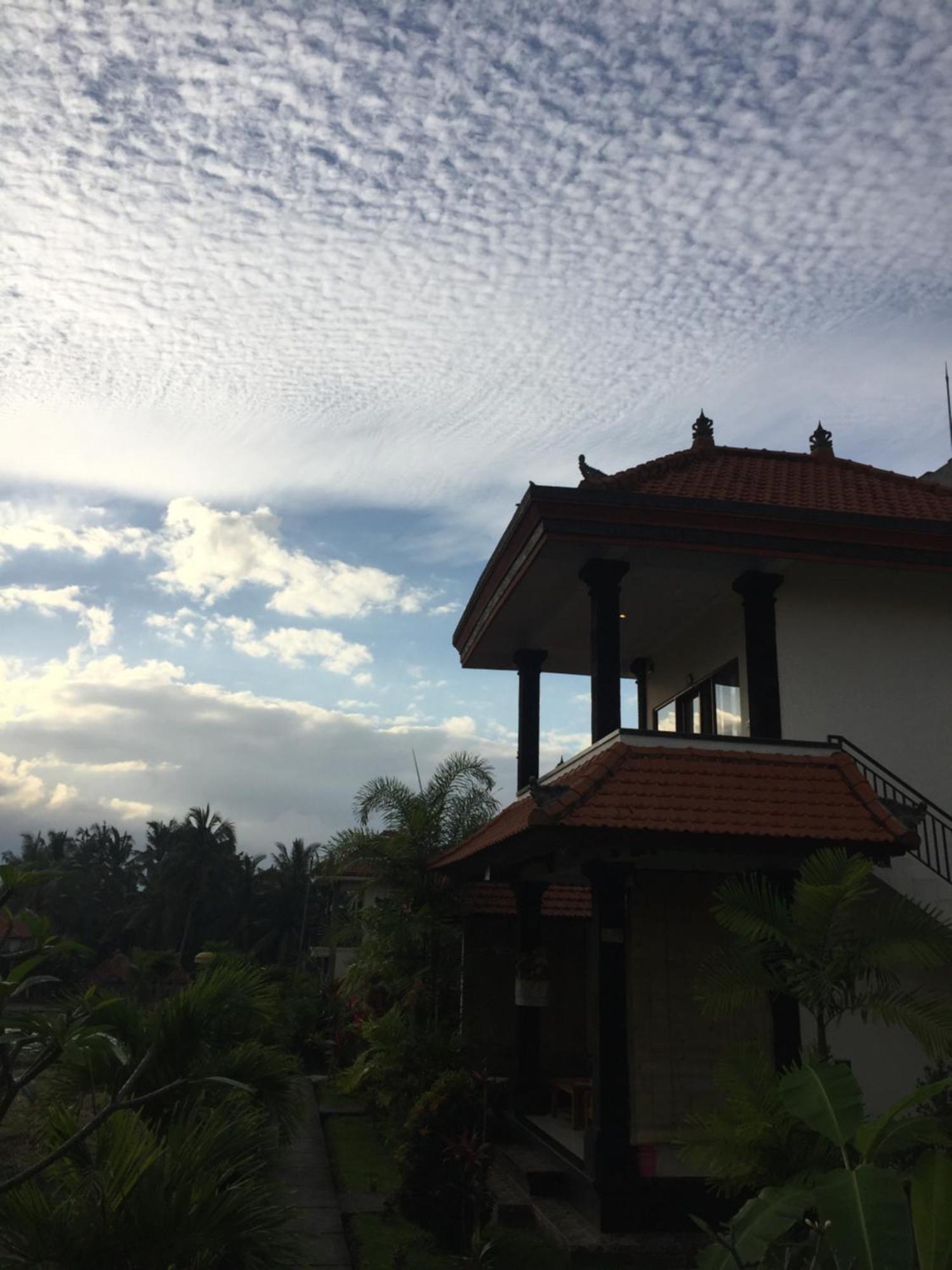 Sari Bungalow Ubud Dış mekan fotoğraf