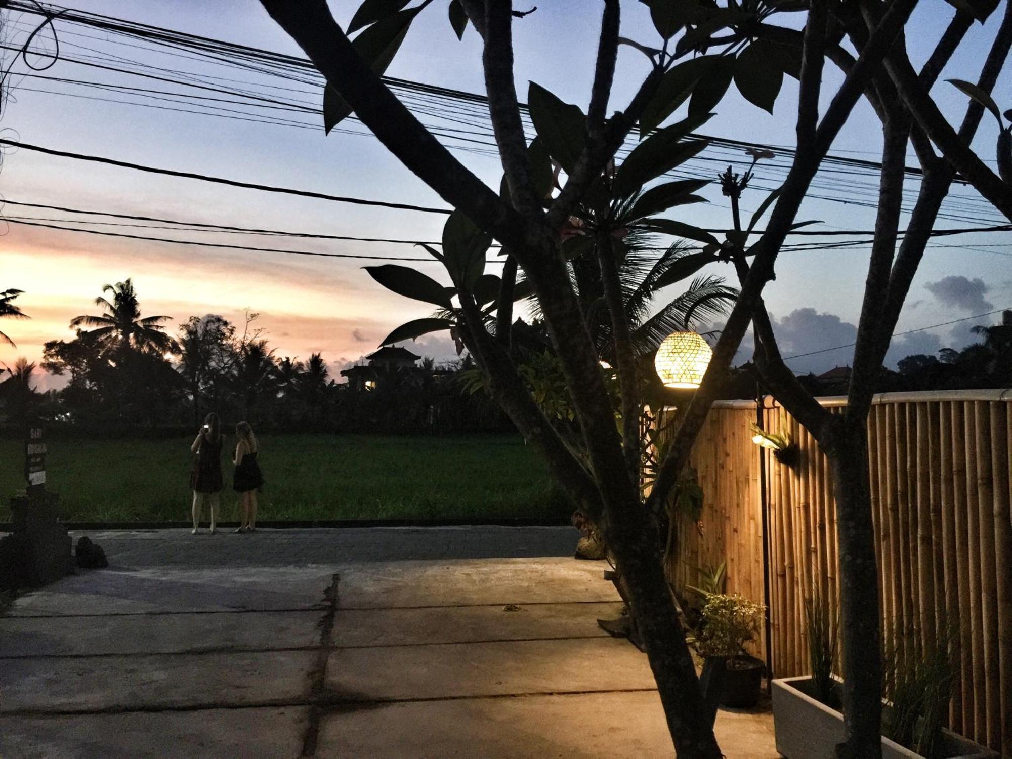 Sari Bungalow Ubud Dış mekan fotoğraf